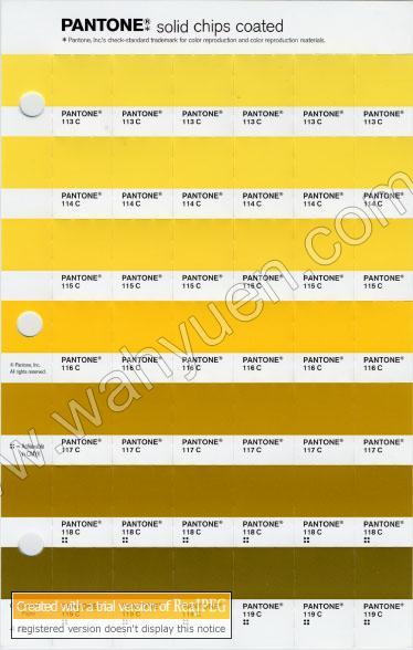 Solid Chips Plus Series Loose Sheet